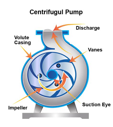 centrifugal bilge pump|centrifugal bilge pump function.